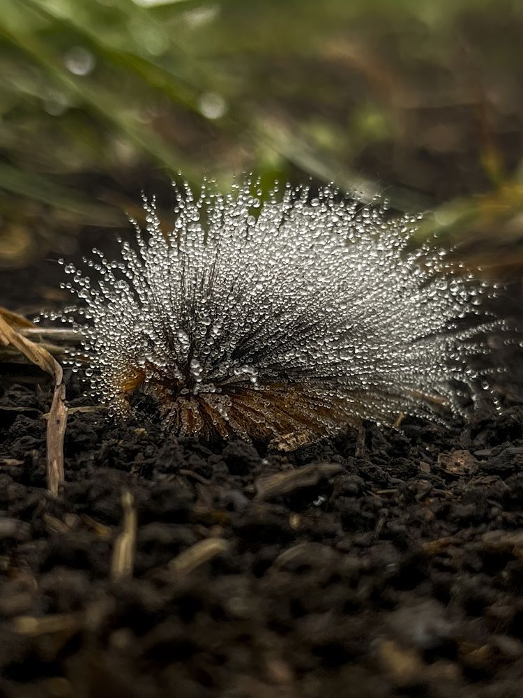 Photograph by Пупонин Сергей