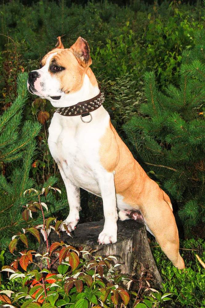 Photograph by Igors Rostikovs