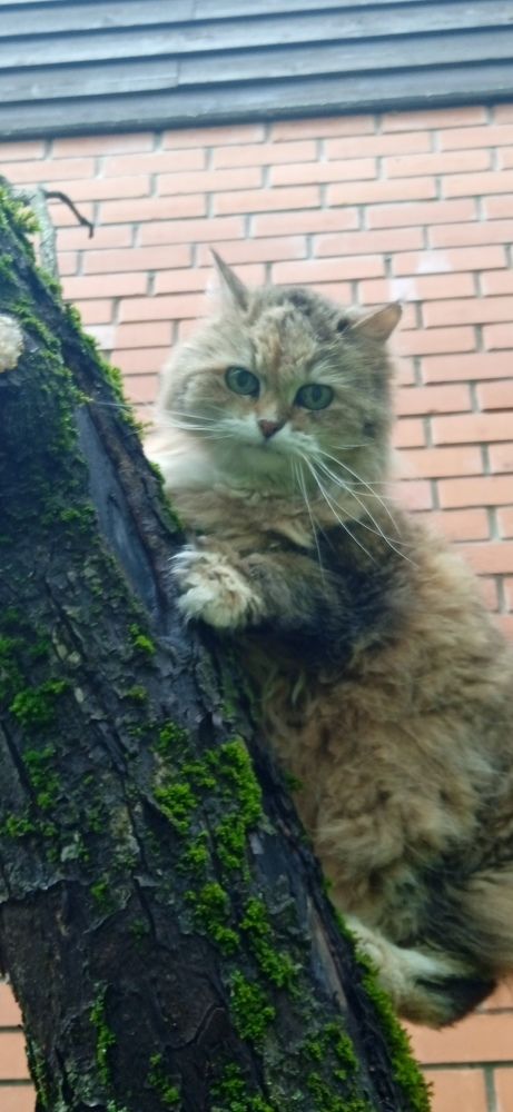 Photograph by Георгий Галкин