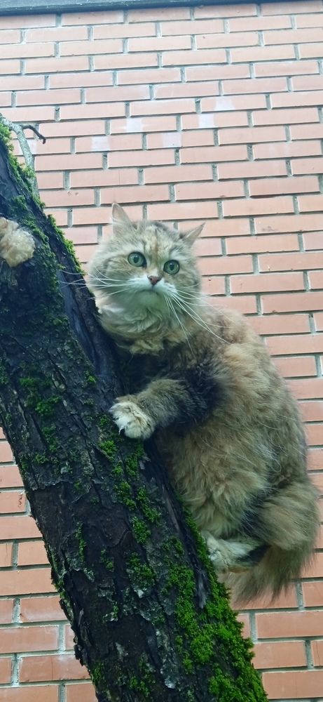 Photograph by Георгий Галкин