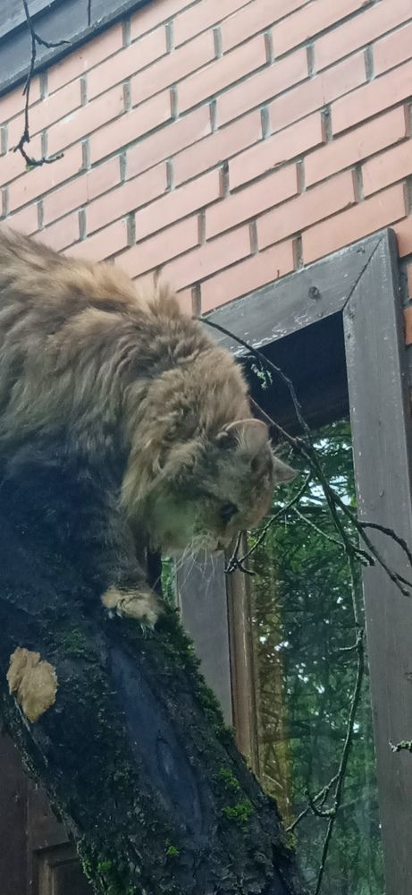 Photograph by Георгий Галкин