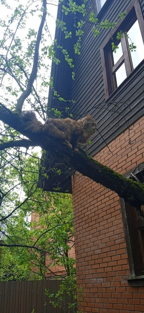 Photograph by Георгий Галкин