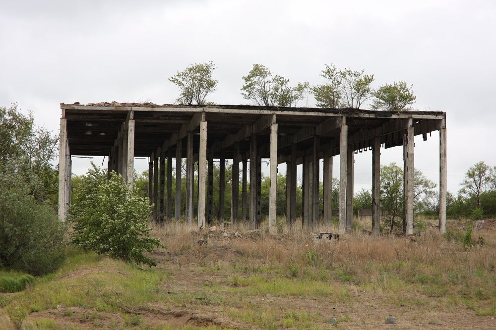 Photograph by Елена Ивашина