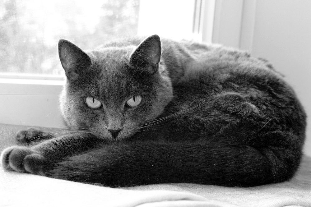 Фотография автора Геннадий Титов