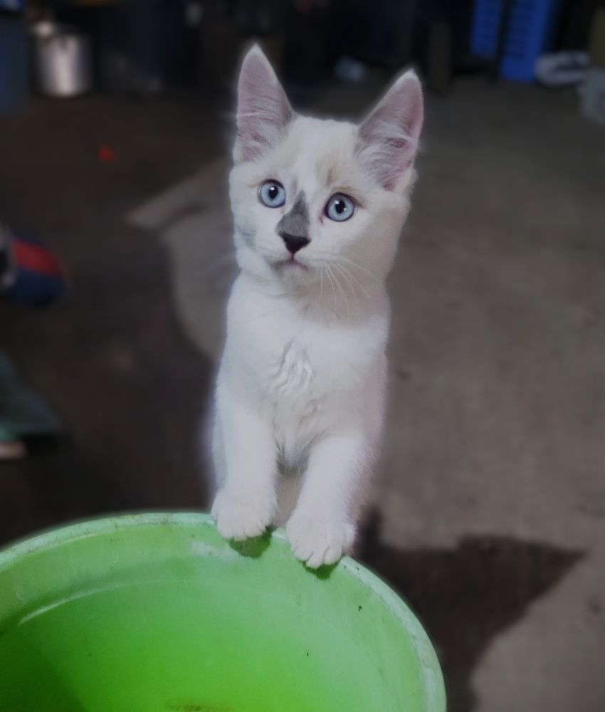 Photograph by Метушова Анна