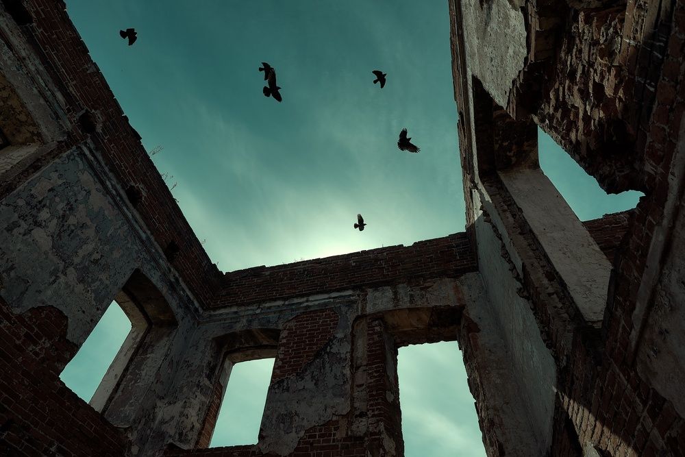 Photograph by Сергей Скоробогатов