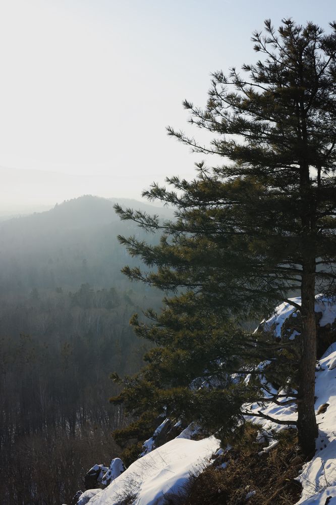 Photograph by Елена Ивашина