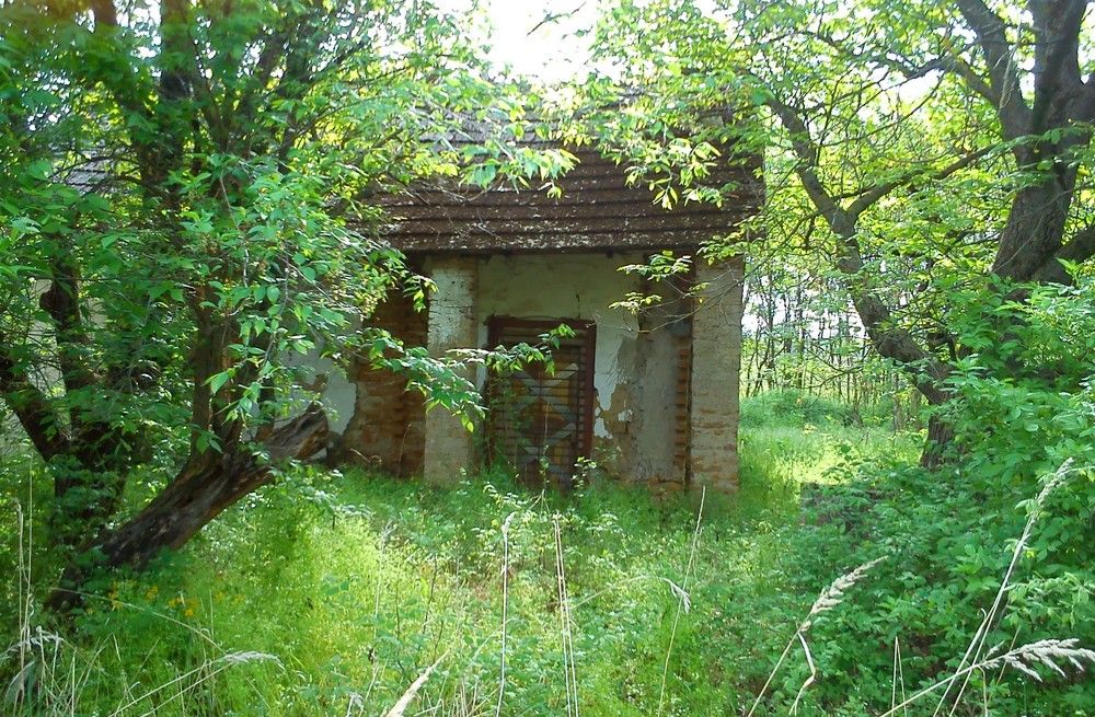 Photograph by eszter bodnár