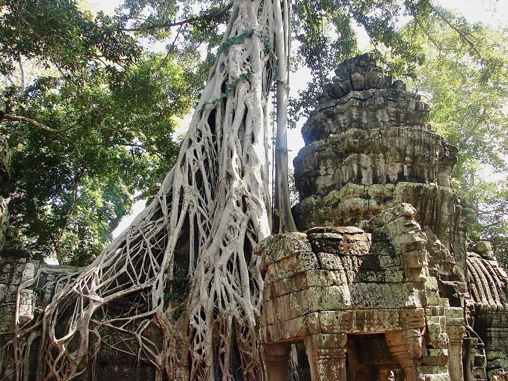 Фотография автора Gala Timaeva