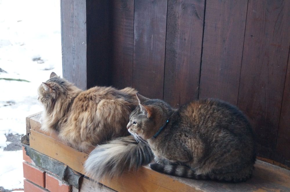 Photograph by Георгий Галкин