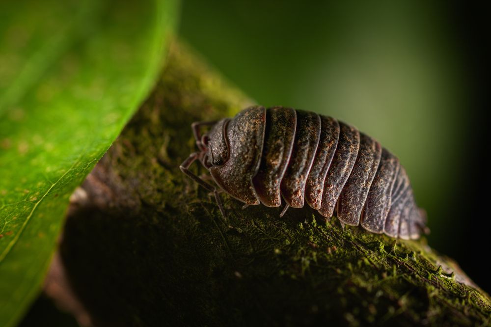 Photograph by Артур