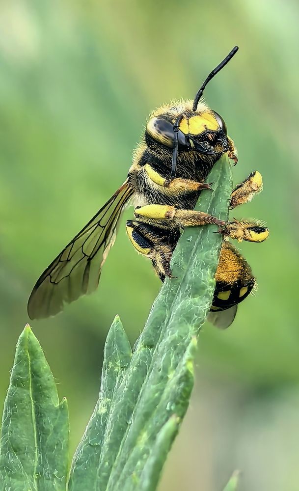 Photograph by Анна Епанчинцева