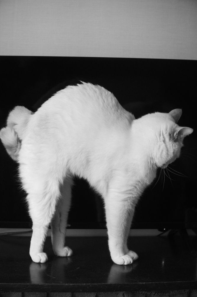 Photograph by Екатерина Степоненкова