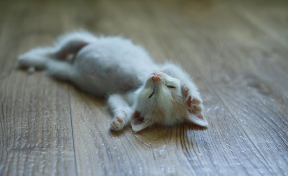 Photograph by Юлия Козаева