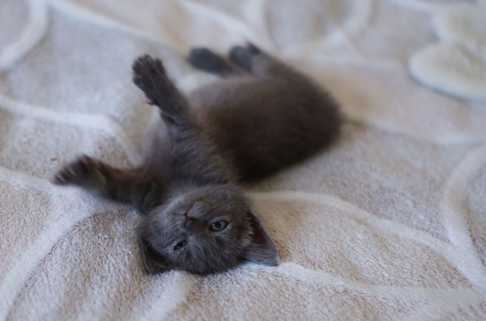 Photograph by Юлия Козаева