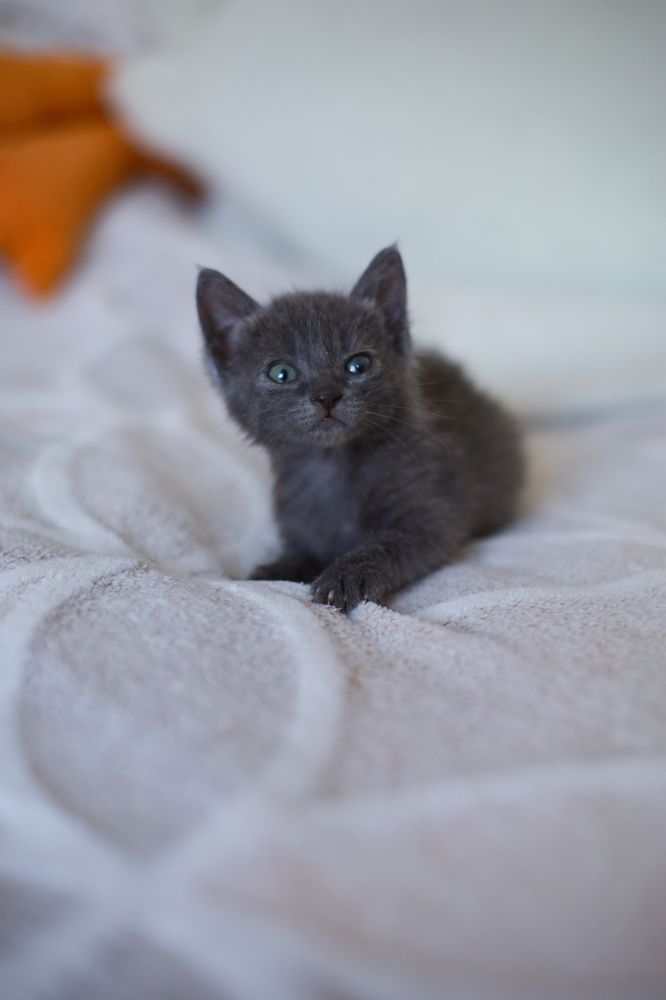 Photograph by Юлия Козаева