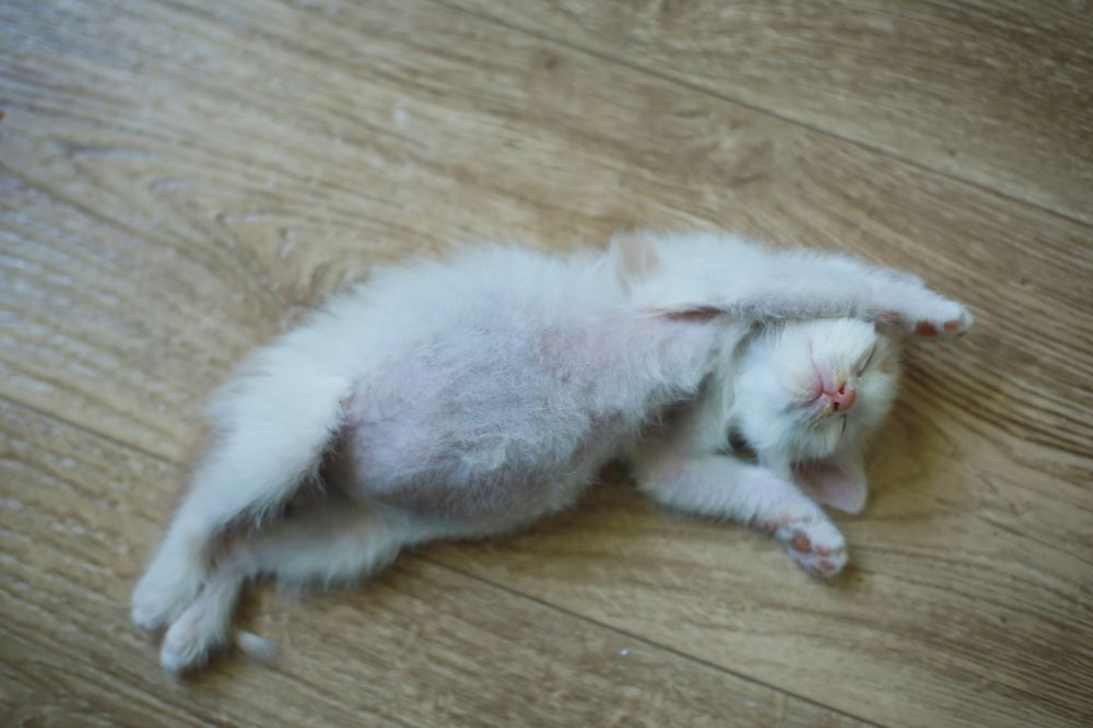 Photograph by Юлия Козаева