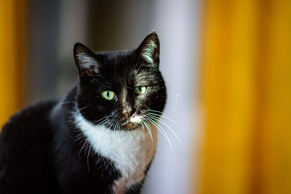 Photograph by Елена Берсенёва