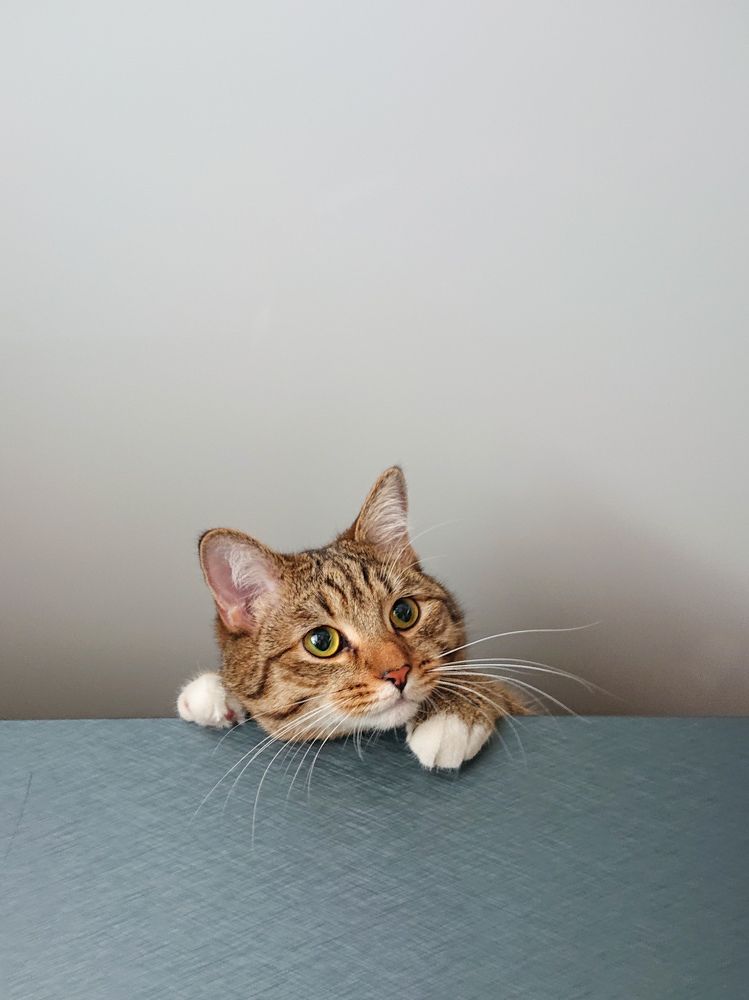 Photograph by Максим Малмыга