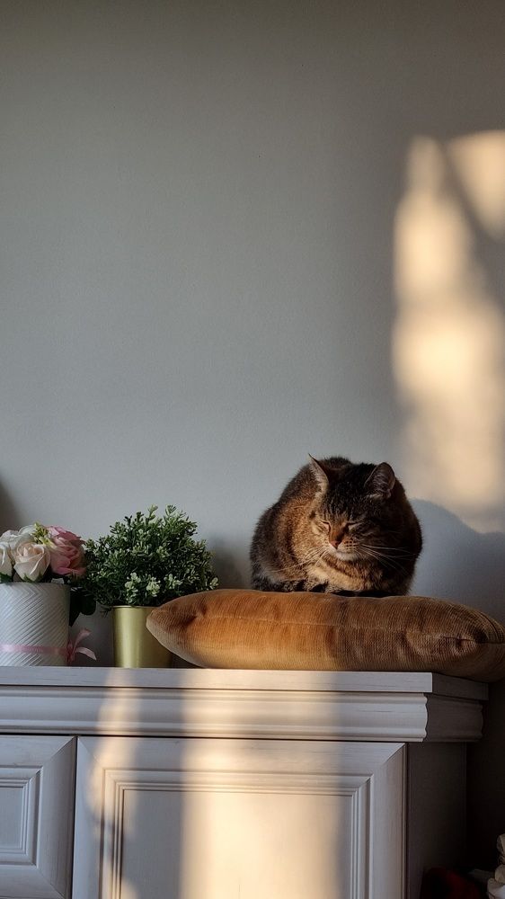 Photograph by Elena Tamošauskaite