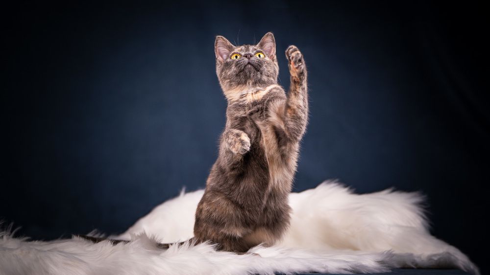 Photograph by Ольга Пачина