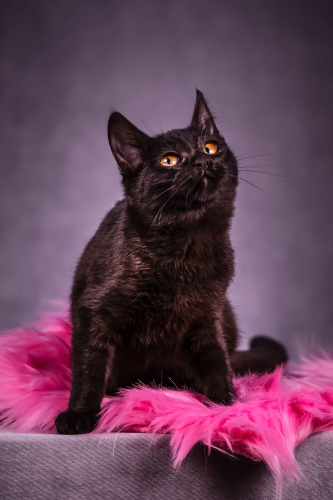 Photograph by Ольга Пачина