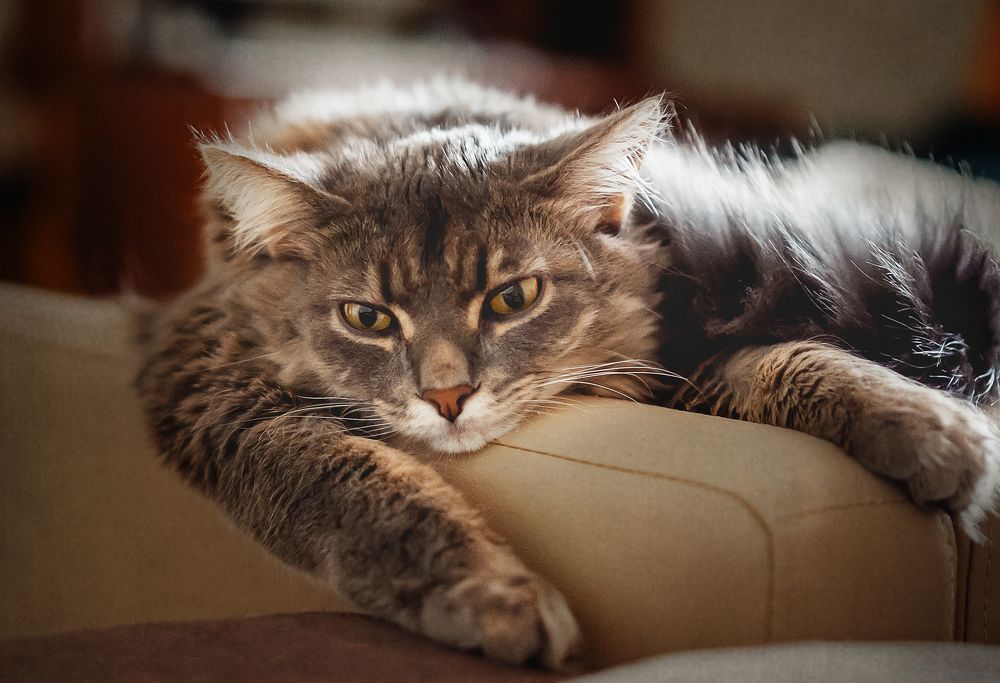 Photograph by Elena Gembach