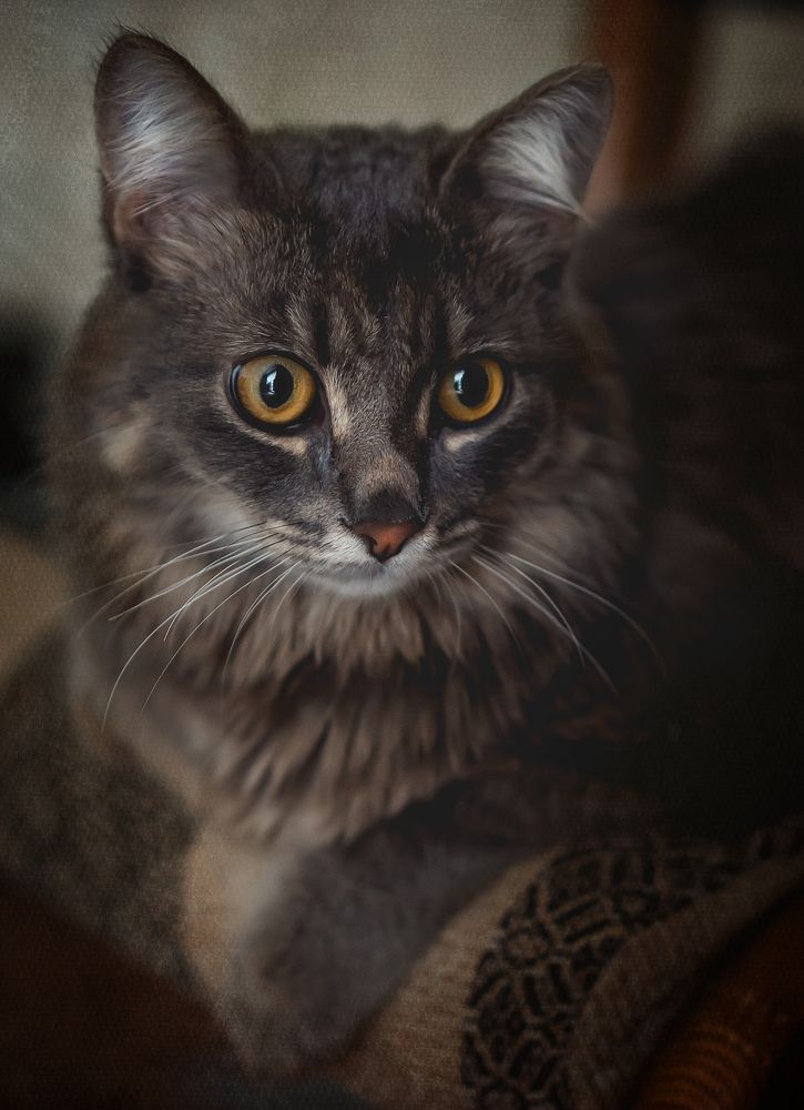 Photograph by Elena Gembach