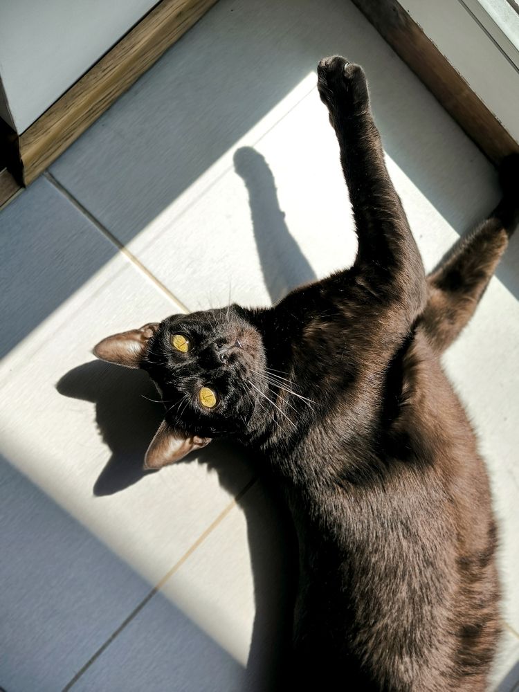 Photograph by Ksenija Bartoško