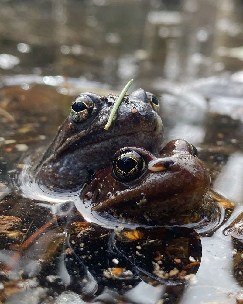 Photograph by Анна Бабкина