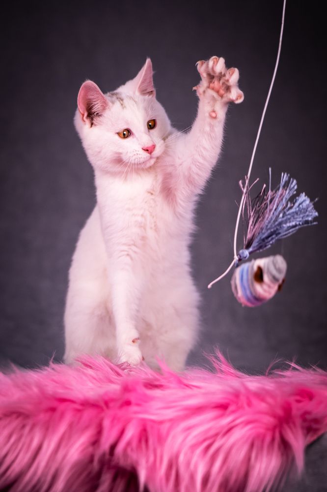 Photograph by Ольга Пачина