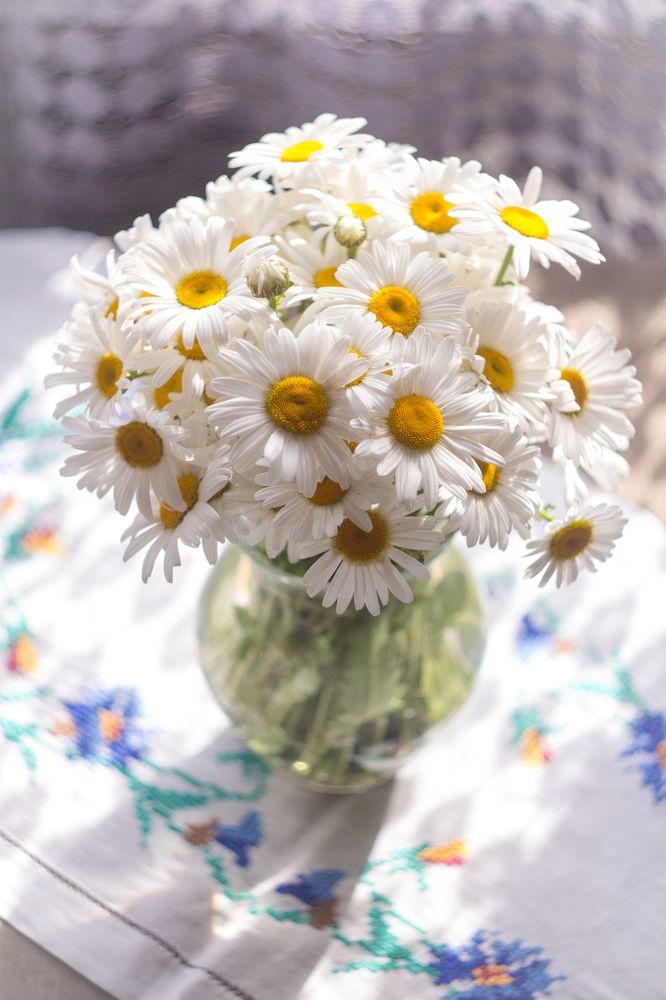 Photograph by Майя Терёшина