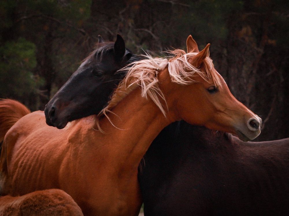 Photograph by Дарья Попова