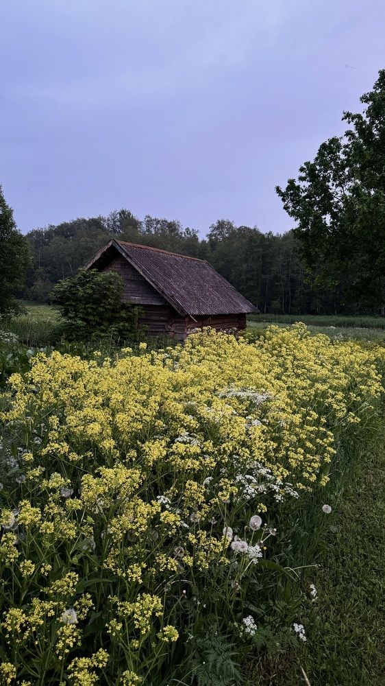 Photograph by Татьяна Нефедова