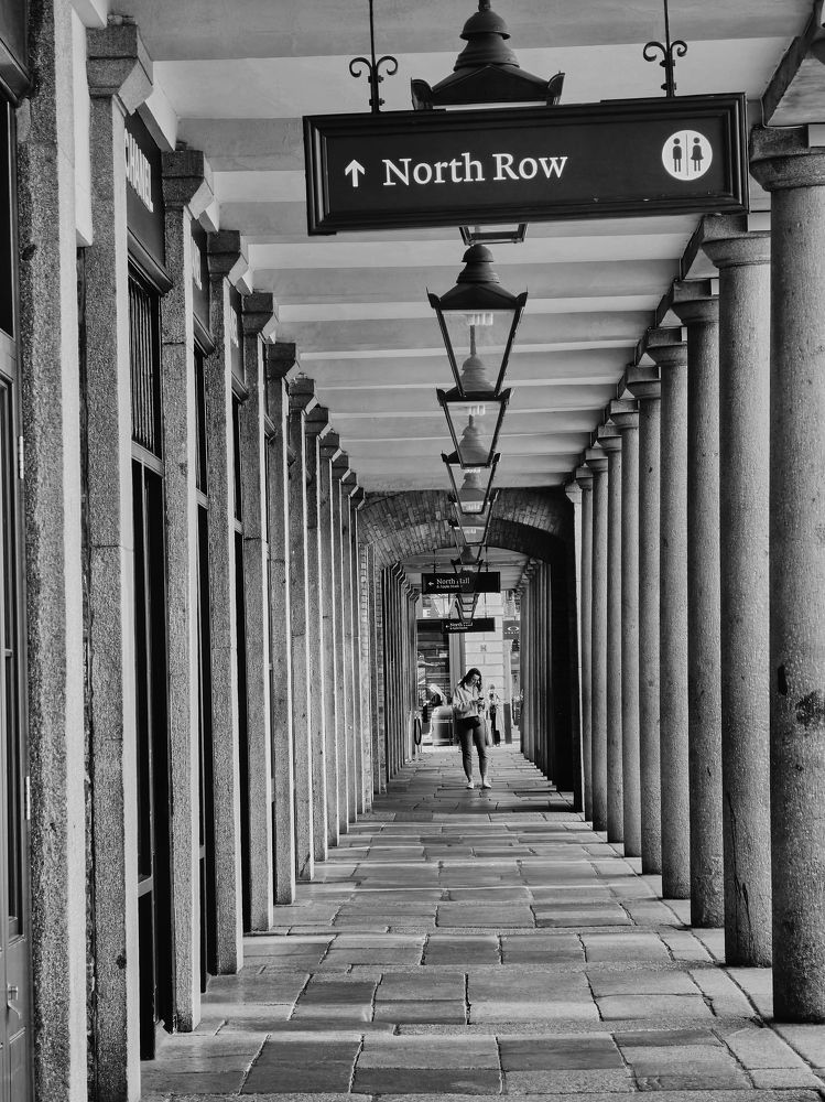 Фотография автора OVIDIU-IOAN TICU