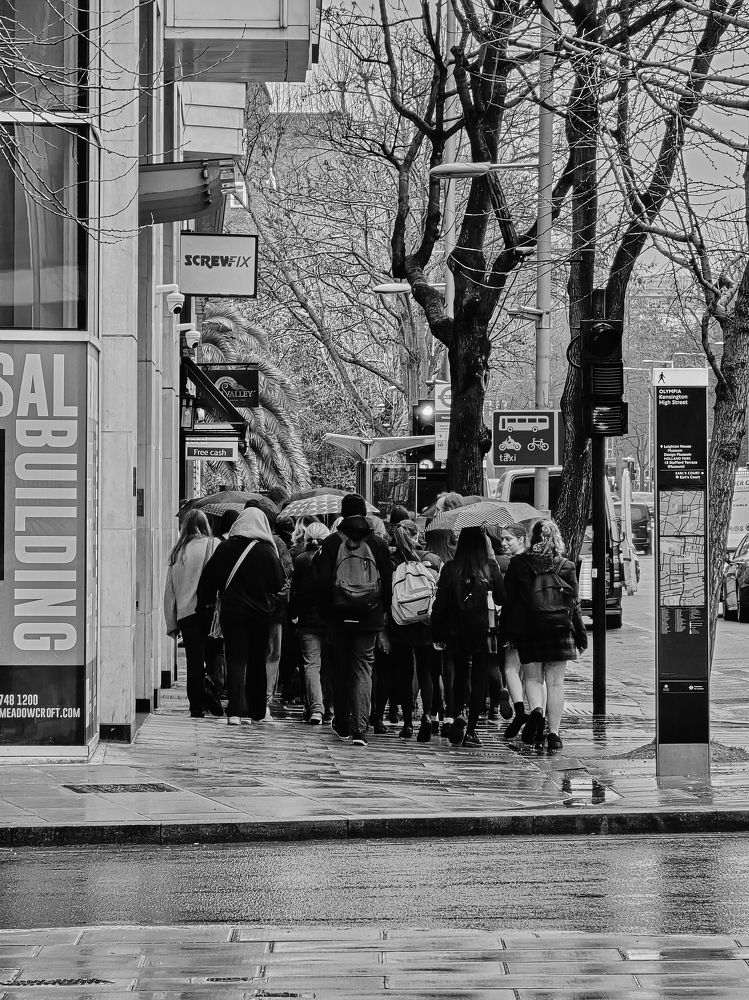 Фотография автора OVIDIU-IOAN TICU