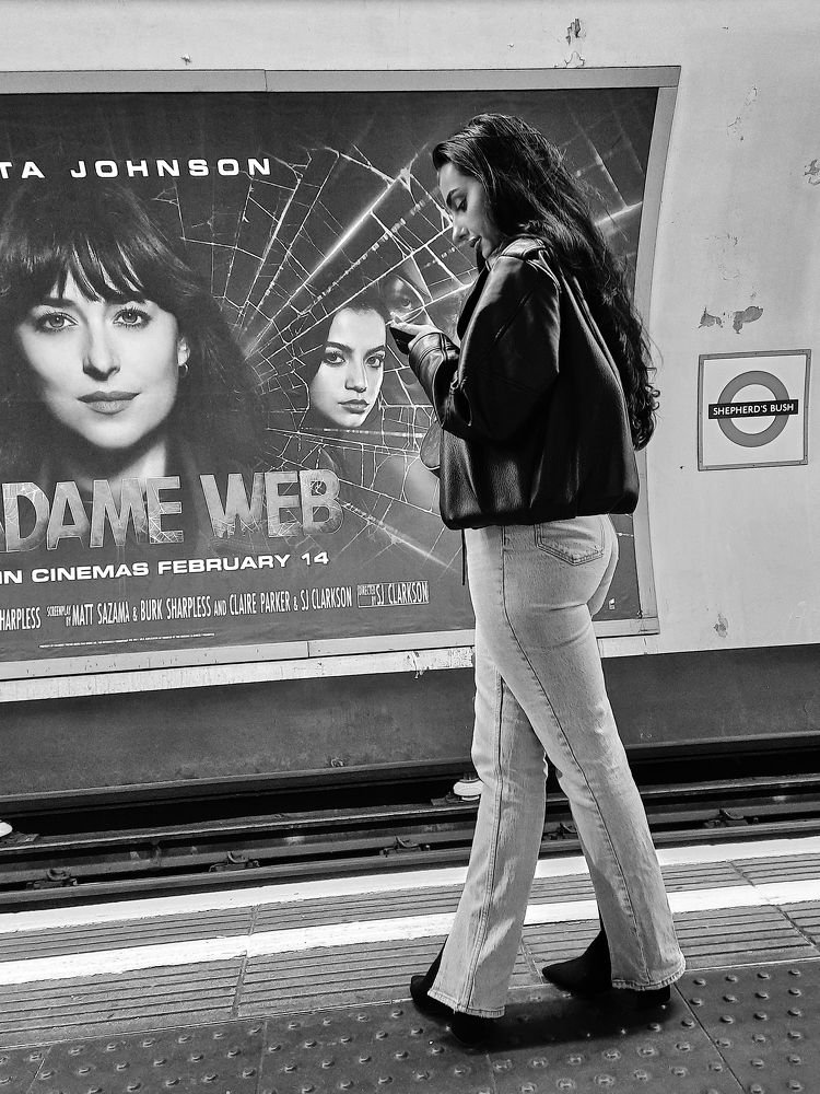 Фотография автора OVIDIU-IOAN TICU