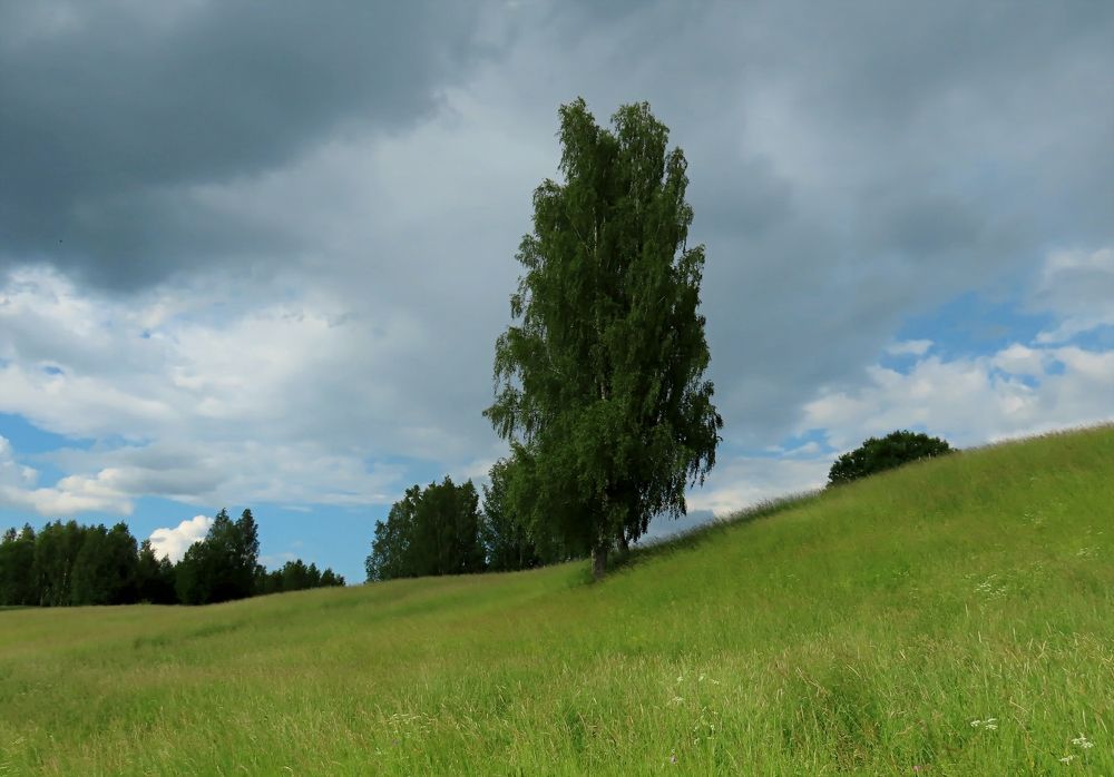 Photograph by Pjotr Alekseev