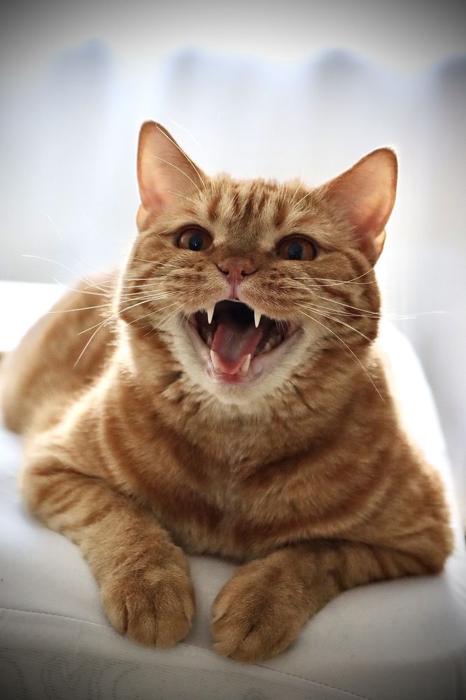 Photograph by Анна Дорофеева