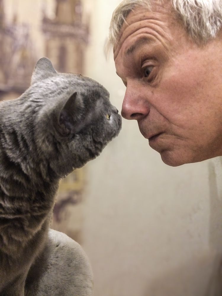 Знает кошка кто мясо сьел