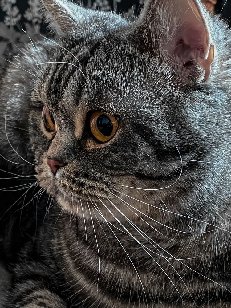 Photograph by Вера Романова