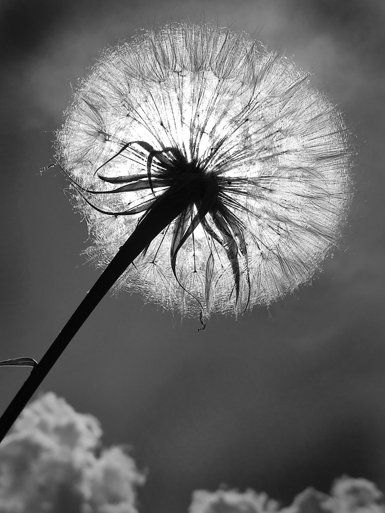 Photograph by Aleksandr