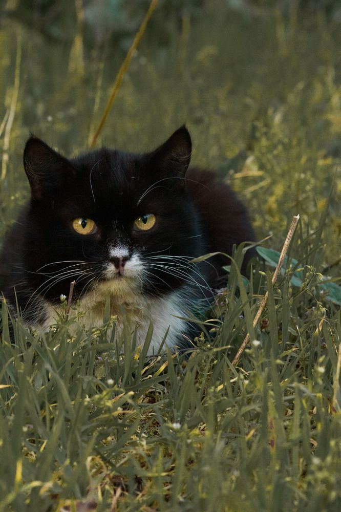 Photograph by Нелли Золотая