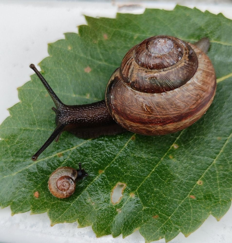 Photograph by Татьяна