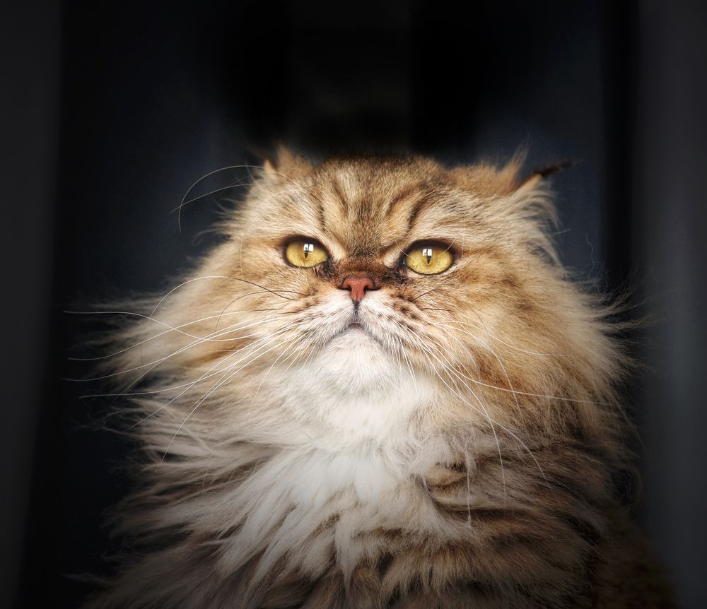 Photograph by Кира Бахвалова