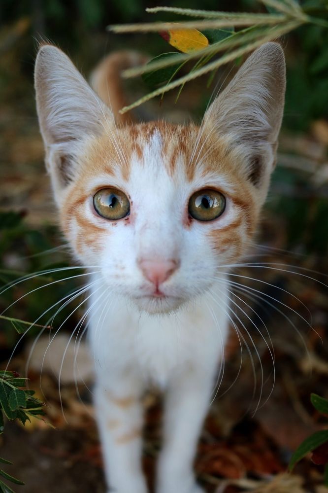 Photograph by Ирина