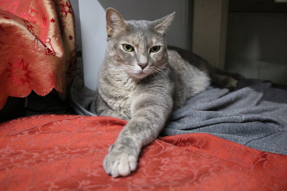 Её величество)))