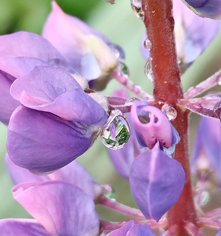 Photograph by Татьяна