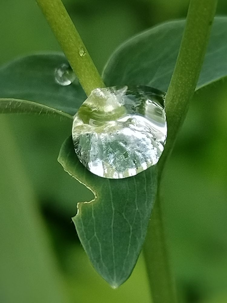 Photograph by Татьяна