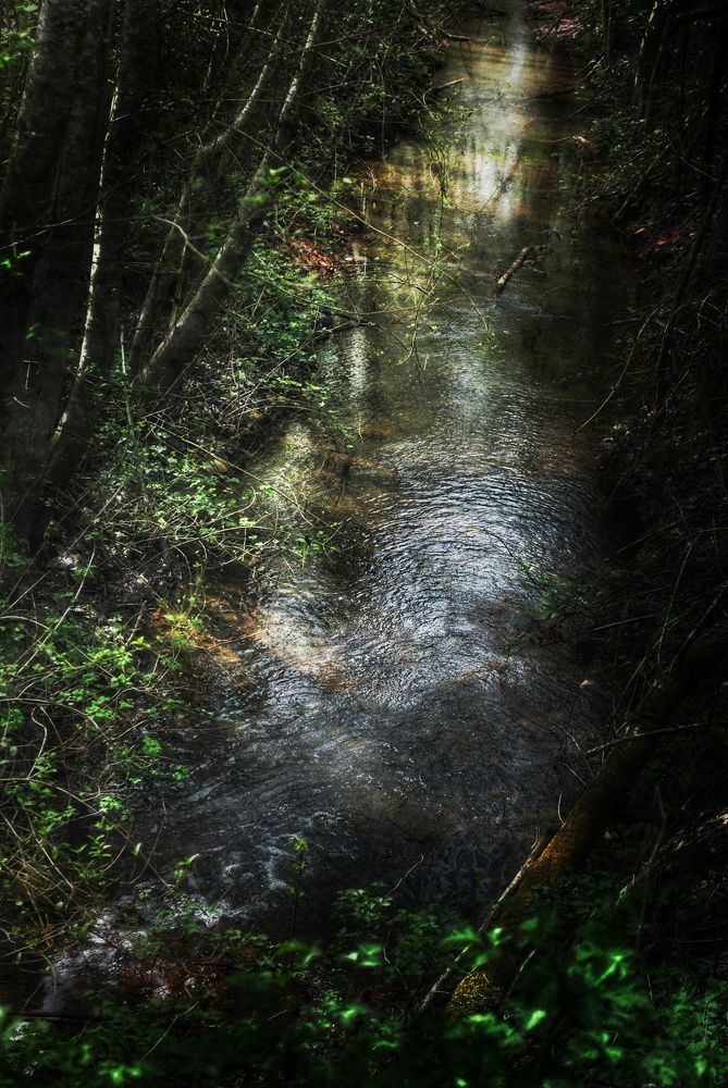 Photograph by Анна Берневик